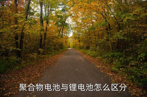 聚合物電池與鋰電池怎么區(qū)分