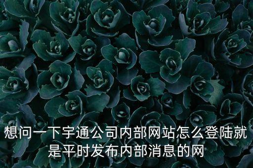 想問(wèn)一下宇通公司內(nèi)部網(wǎng)站怎么登陸就是平時(shí)發(fā)布內(nèi)部消息的網(wǎng)