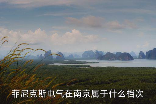 菲尼克斯電氣中國(guó)公司，中國(guó)電信全球眼
