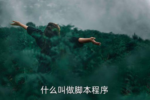 腳本編程，腳本程序怎么做