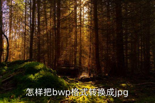 怎樣把bwp格式轉(zhuǎn)換成jpg