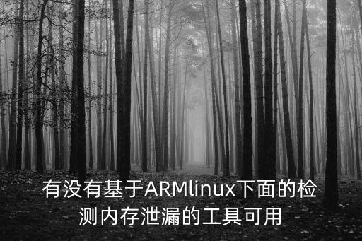 memwatch，memory什么意思中文