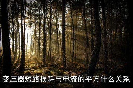 變壓器短路損耗與電流的平方什么關(guān)系