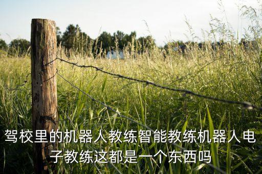 駕校里的機(jī)器人教練智能教練機(jī)器人電子教練這都是一個東西嗎