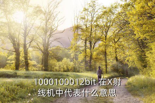 12bit，西門子模擬量模塊8bit12bit是什么意思