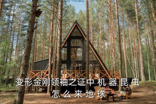 變形金剛領(lǐng)袖之證中 機(jī) 器 昆 蟲(chóng) 怎 么 來(lái) 地 球
