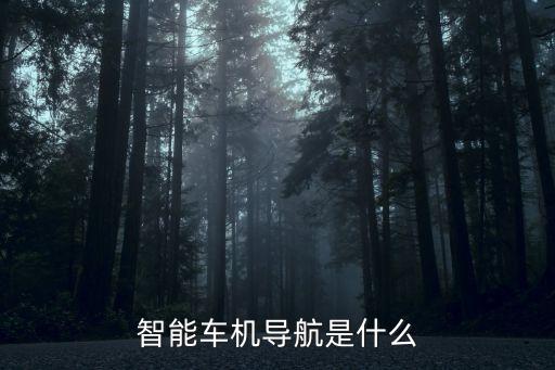 智能車載，智能車機(jī)哪些好