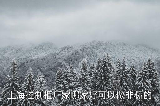 上?？刂乒駨S家哪家好可以做非標(biāo)的