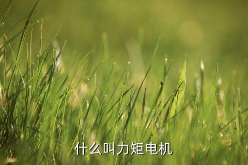 什么叫力矩電機