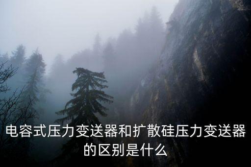 電容式壓力變送器，電容式壓力變送器和擴(kuò)散硅壓力變送器的區(qū)別是什么