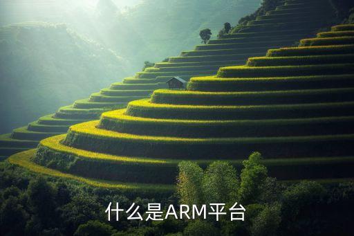 什么是ARM平臺(tái)