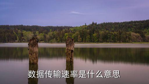 數(shù)據(jù)傳輸速率，數(shù)據(jù)傳輸速率稱為