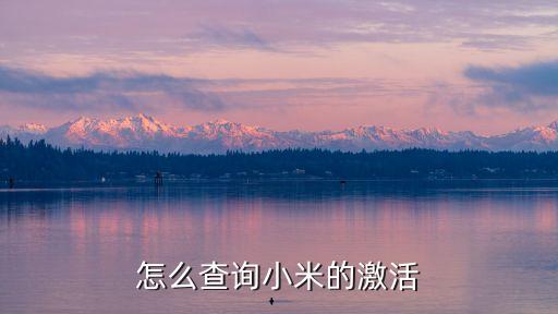 怎么查詢小米的激活