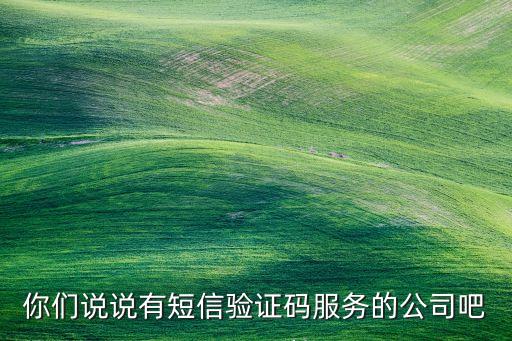 必示科技，大家說說短信驗(yàn)證碼提供公司吧