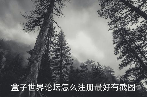 盒子世界論壇怎么注冊(cè)最好有截圖