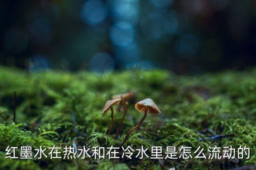 紅墨水在熱水和在冷水里是怎么流動(dòng)的