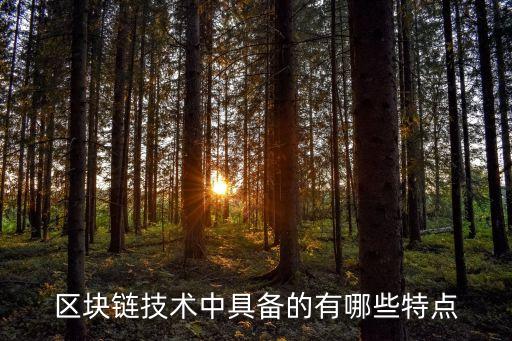 區(qū)塊鏈技術(shù)中具備的有哪些特點