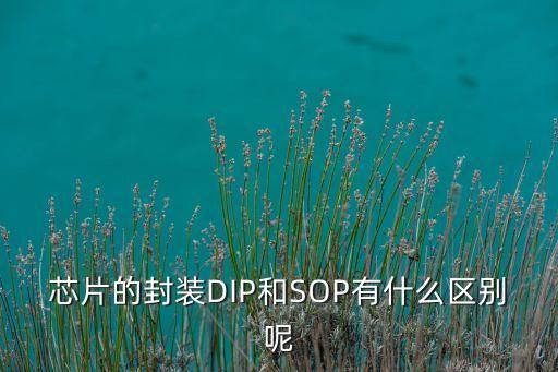 芯片封裝類型，芯片的封裝DIP和SOP有什么區(qū)別呢