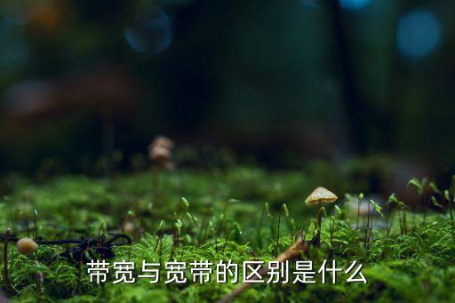 帶寬與寬帶的區(qū)別是什么