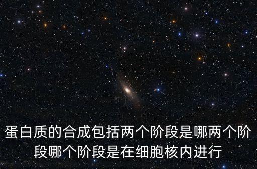 蛋白質(zhì)的合成包括兩個階段是哪兩個階段哪個階段是在細胞核內(nèi)進行