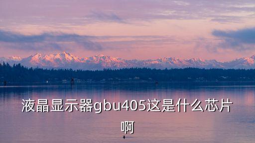 液晶顯示器gbu405這是什么芯片啊