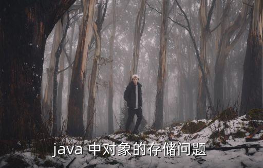 java 中對象的存儲問題