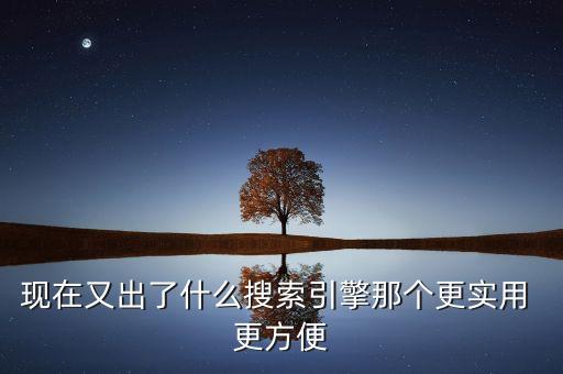 現(xiàn)在又出了什么搜索引擎那個更實用 更方便