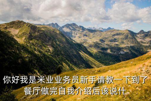 你好我是米業(yè)業(yè)務(wù)員新手請(qǐng)教一下到了餐廳做完自我介紹后該說(shuō)什