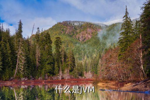 什么是JVM