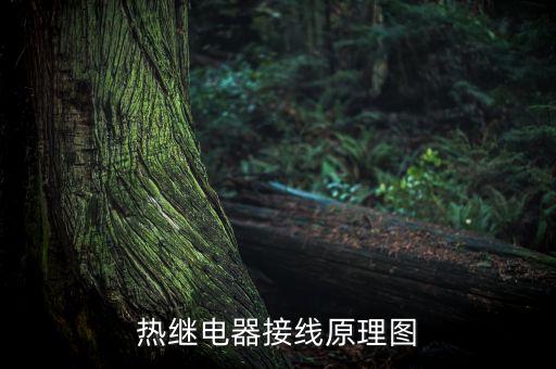 熱繼電器接線原理圖