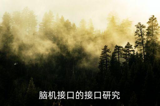 腦機接口的接口研究