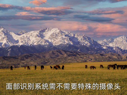 人臉識(shí)別攝像頭，人臉識(shí)別攝像機(jī)是什么
