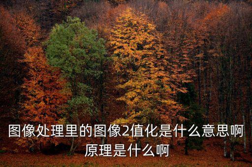 圖像二值化，圖像配準后怎樣把圖象二值化