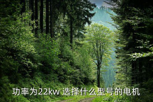 功率為22kw 選擇什么型號的電機