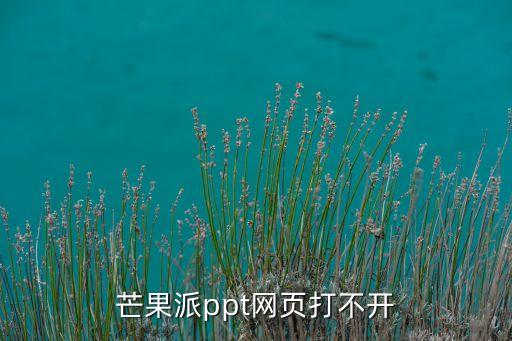 芒果派ppt網(wǎng)頁打不開