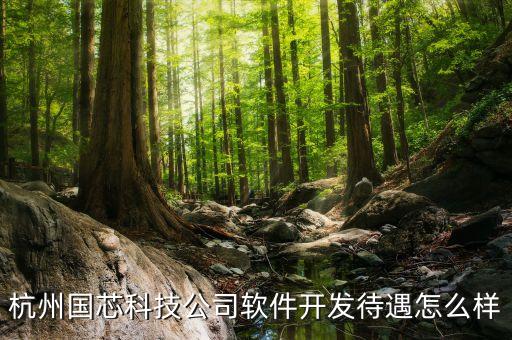 杭州國(guó)芯科技公司軟件開(kāi)發(fā)待遇怎么樣