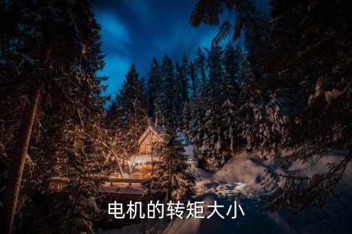 電機(jī)的轉(zhuǎn)矩大小