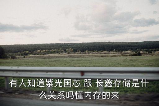 有人知道紫光國芯 跟 長鑫存儲是什么關(guān)系嗎懂內(nèi)存的來
