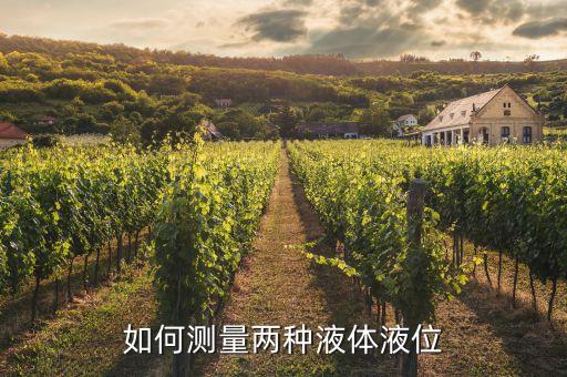 如何測量兩種液體液位