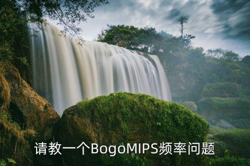 請教一個BogoMIPS頻率問題