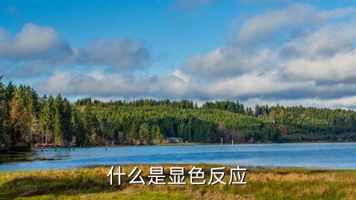 顯色，什么是顯色反應(yīng)