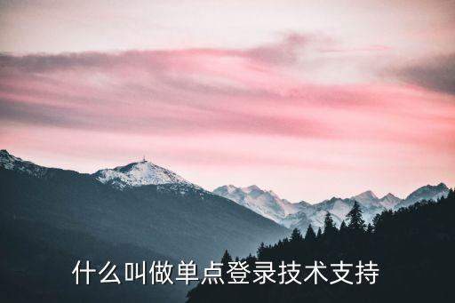什么是單點登錄，誰知道什么是單點登錄系統(tǒng)
