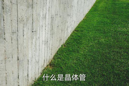 晶體管是什么，什么是晶體管