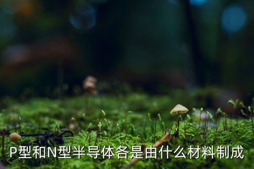 P型和N型半導體各是由什么材料制成