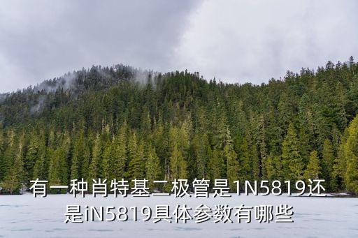 有一種肖特基二極管是1N5819還是iN5819具體參數(shù)有哪些