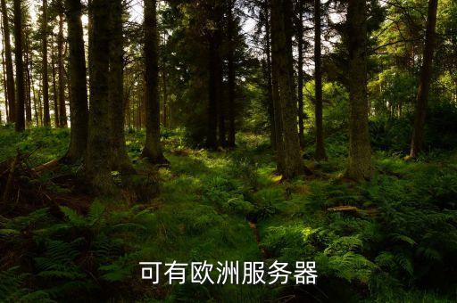 可有歐洲服務器