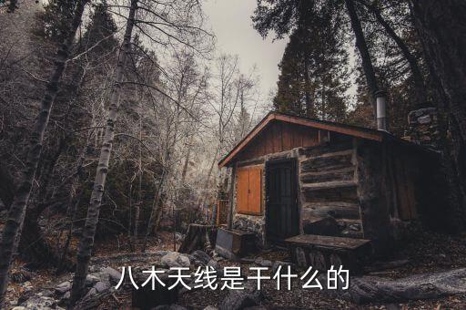 八木天線，介紹一下八木天線