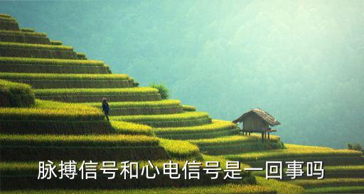 心電信號，脈搏信號和心電信號是一回事嗎