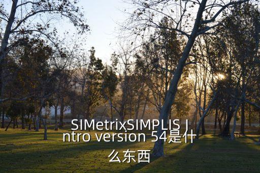 simetrix，SIMetrixSIMPLIS Intro version 54是什么東西