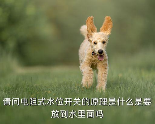 請問電阻式水位開關(guān)的原理是什么是要放到水里面嗎